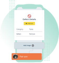 defect-capture-image